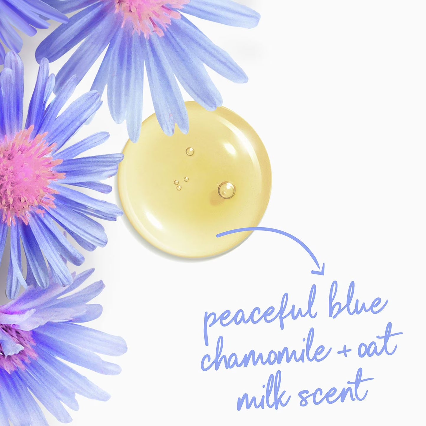 Dove Pamper & Anti-Stress Body Wash, 30.6 fl. oz., 2 pk.