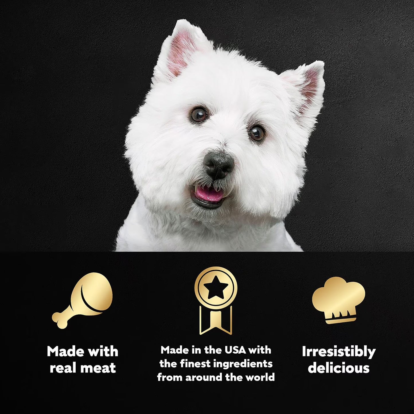 Cesar Classic Loaf in Sauce Wet Dog Food Variety Pack, 3.5 oz., 48 ct.
