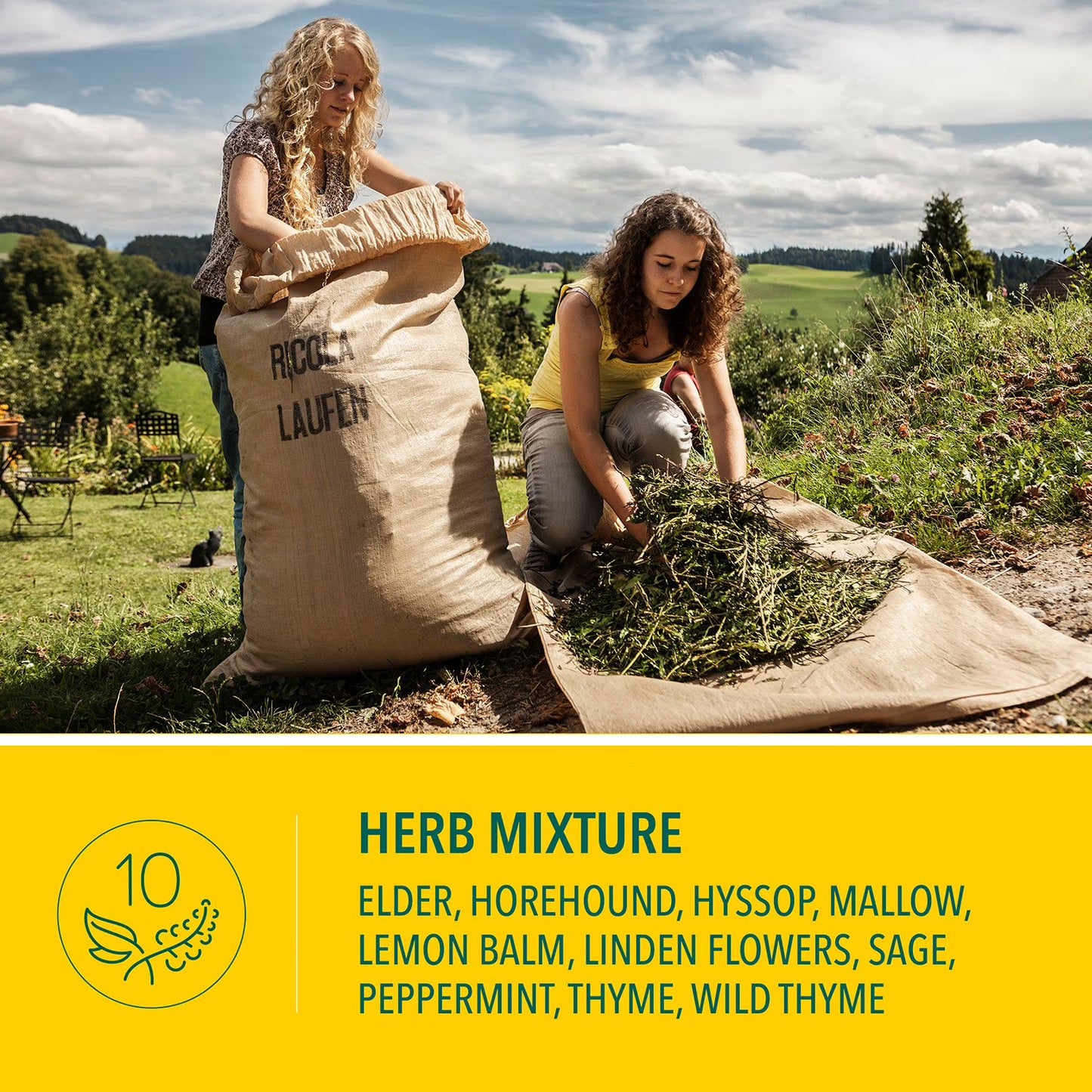 Ricola Original Natural Herb Cough Drops, 210 ct.