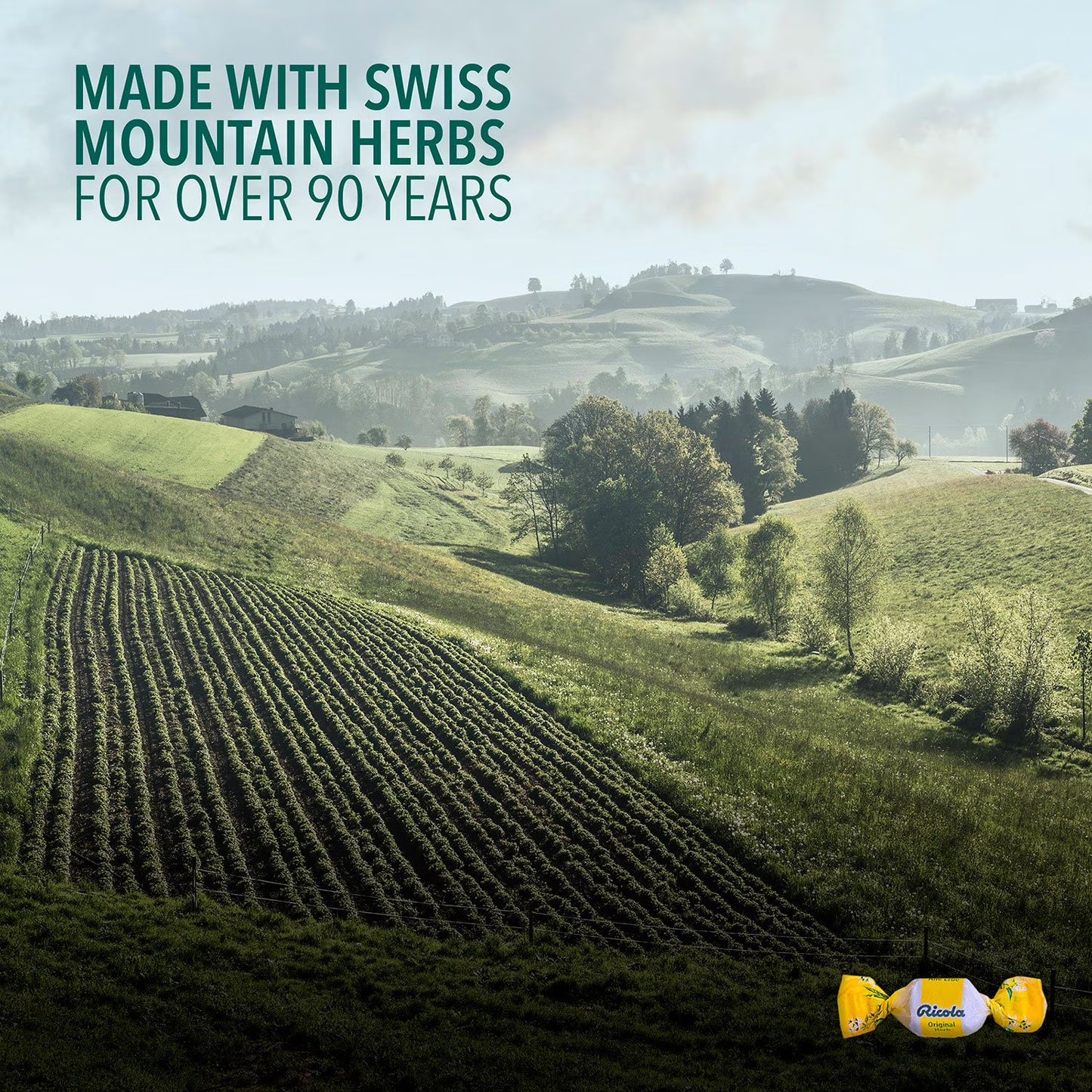 Ricola Original Natural Herb Cough Drops, 210 ct.