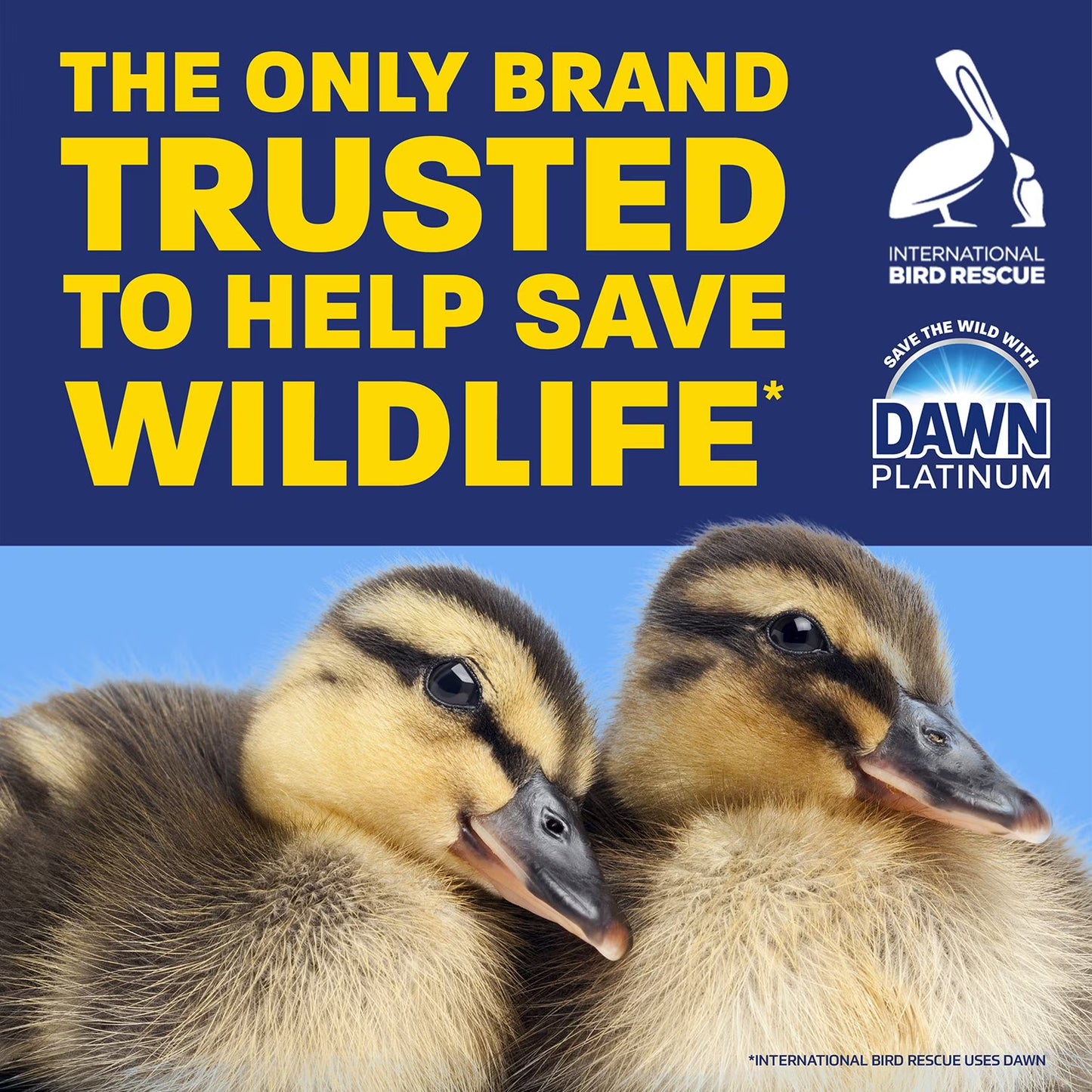 Dawn Platinum Dishwashing Liquid Dish Soap, Refreshing Rain 90 fl. oz.