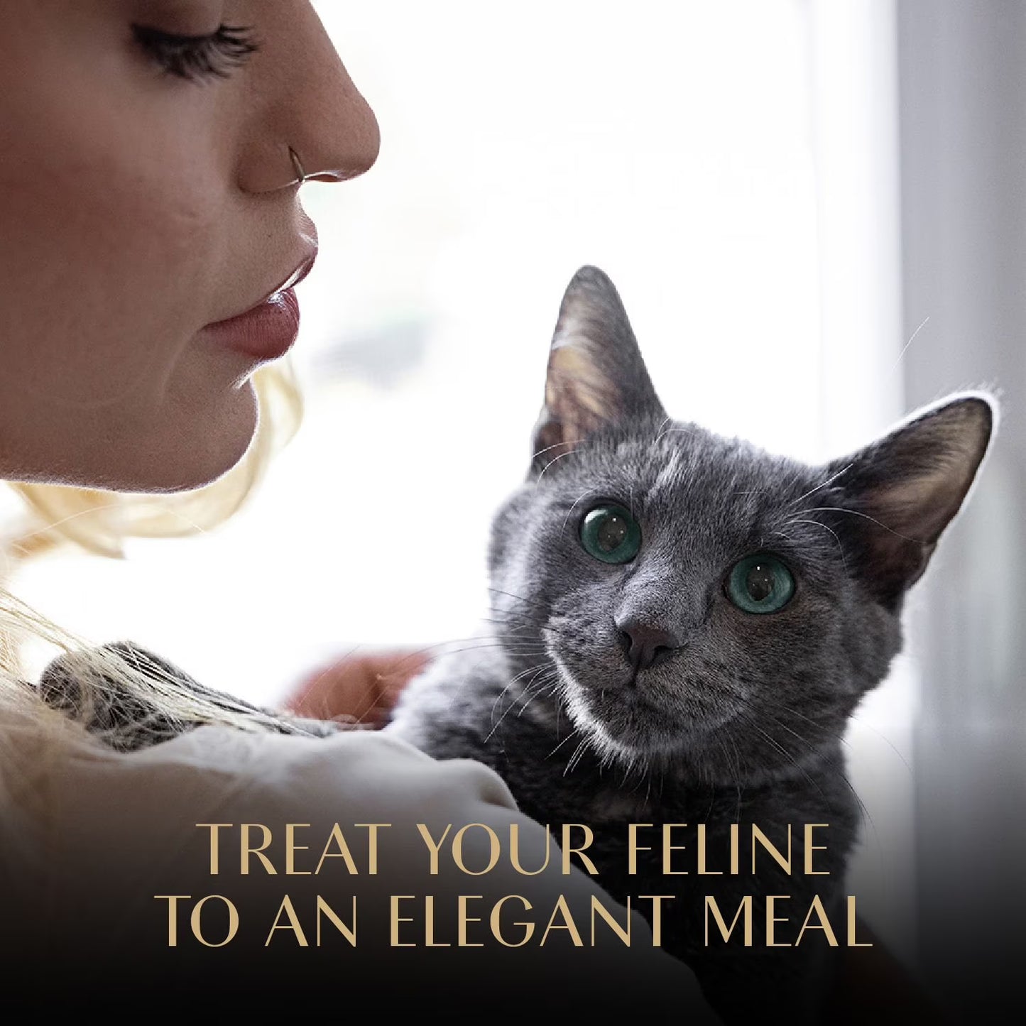 Sheba Perfect Portions Cuts in Gravy Adult Variety Wet Cat Food, Twin-Pack Tray, 1.32 oz., 60 ct., 120 servings