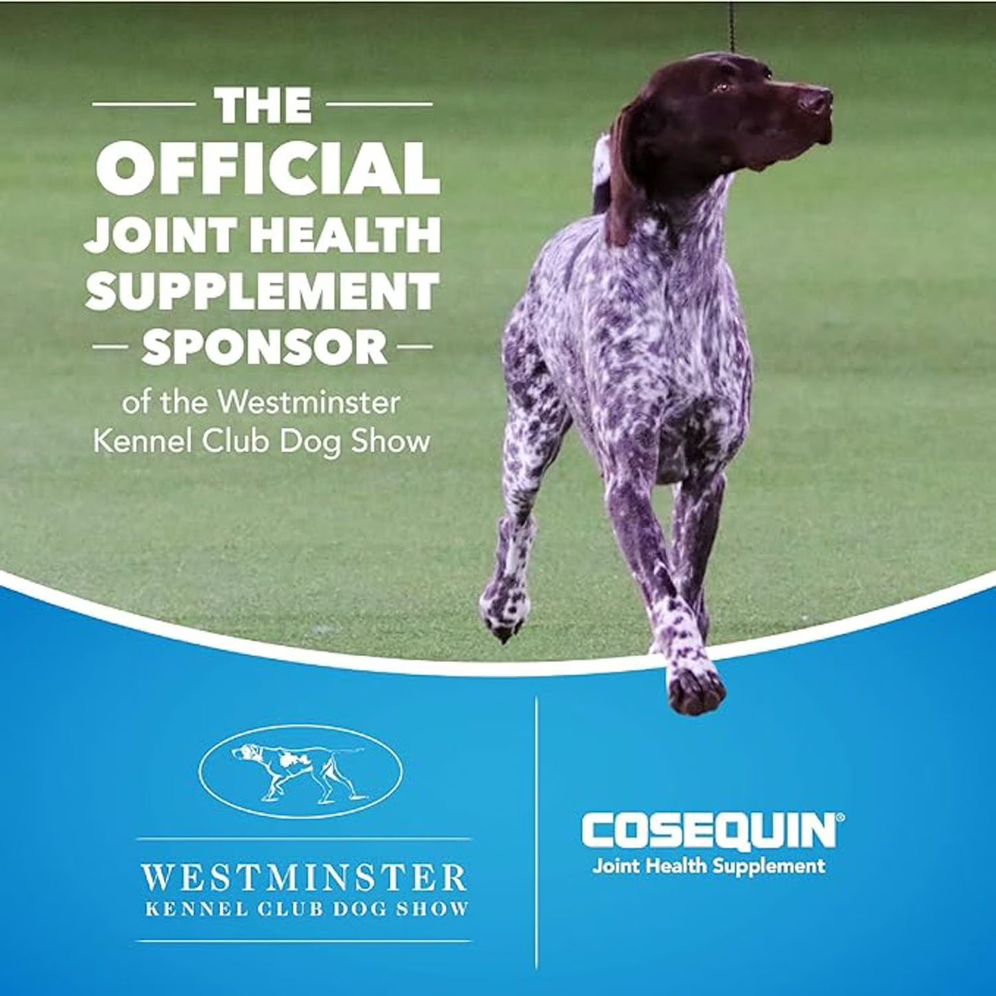 Nutramax Cosequin Maximum Strength Joint Health Dog Supplement with MSM and Hyaluronic Acid, 180 ct.
