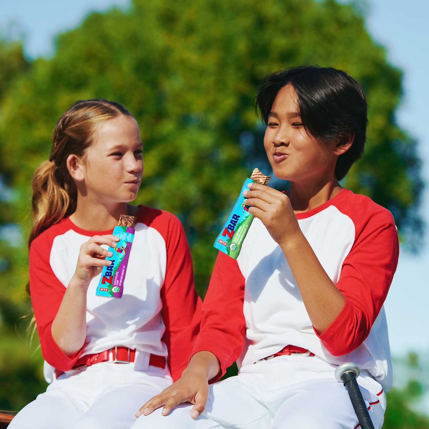 Zbar Soft Baked Organic Granola Snack Bars, Variety Pack, 36 pk.