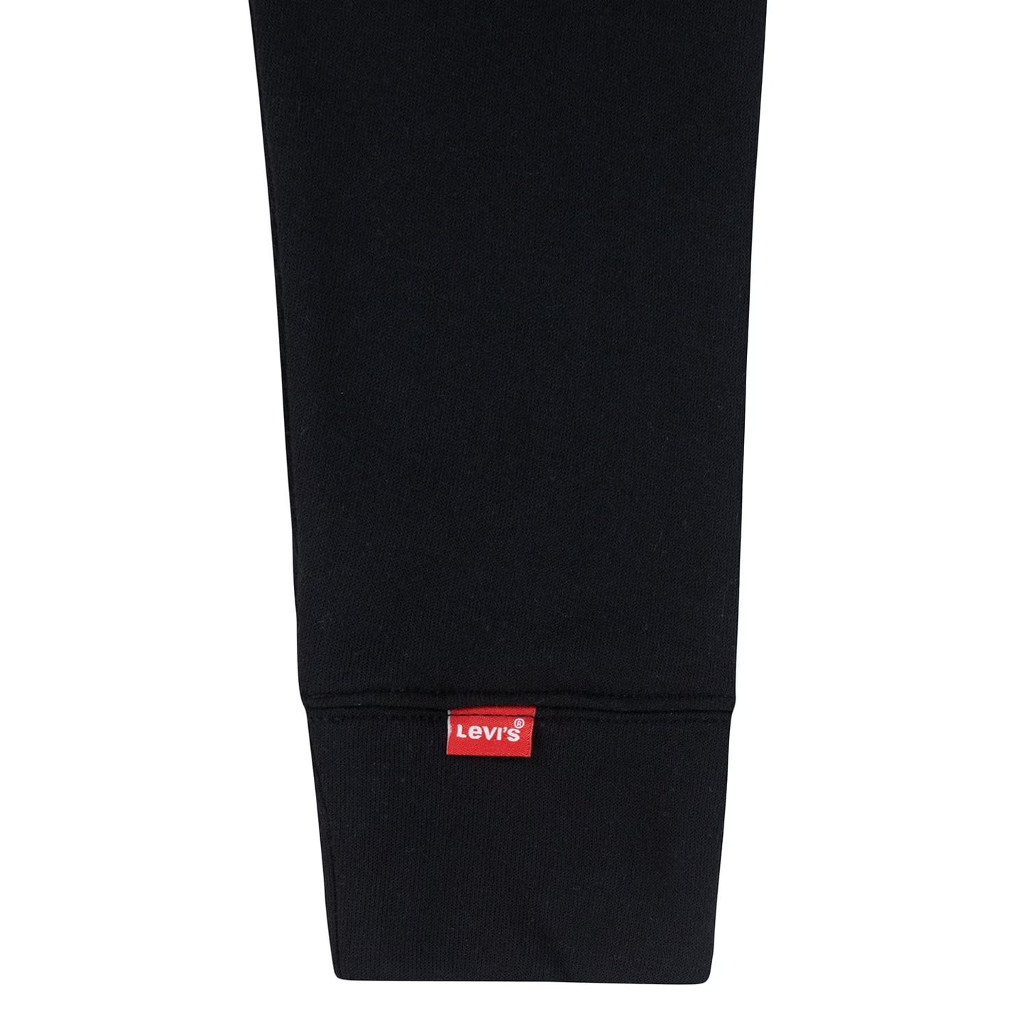 Levi's Boys Logo Hoodie