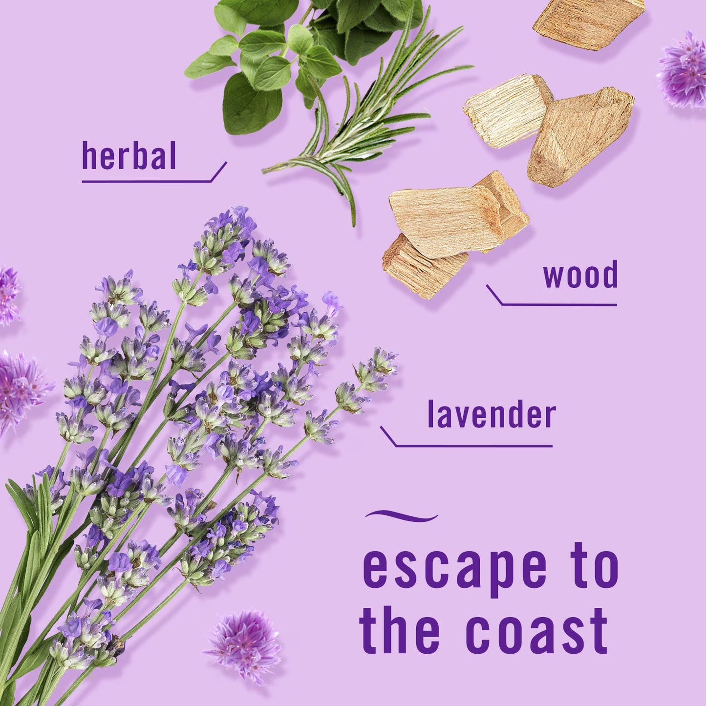 Febreze Plugs Air Freshener Refills, Mediterranean Lavender + Downy April Fresh, 5 refills