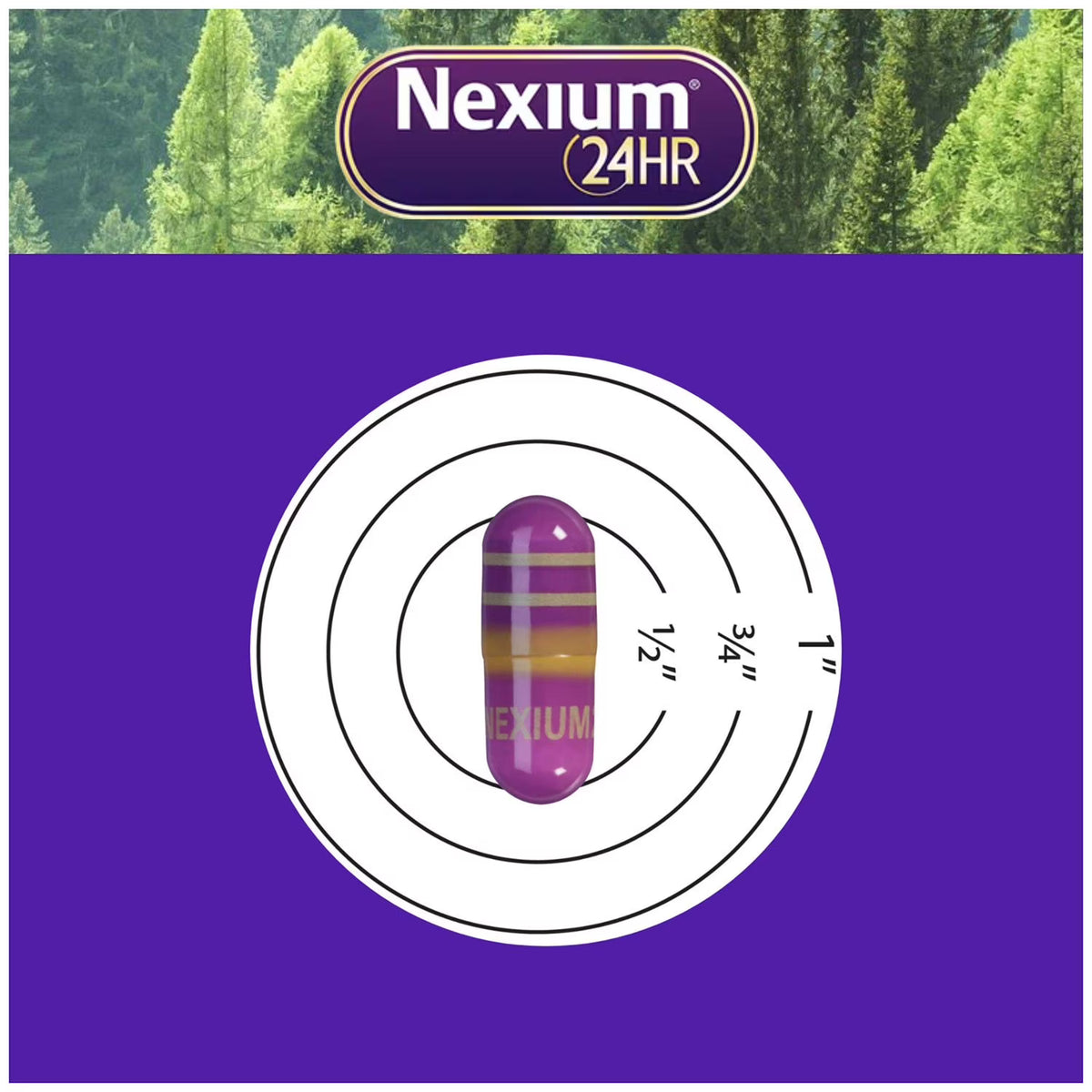 Nexium 24HR Acid Reducer Heartburn Relief Capsules with Esomeprazole Magnesium, 42 ct.
