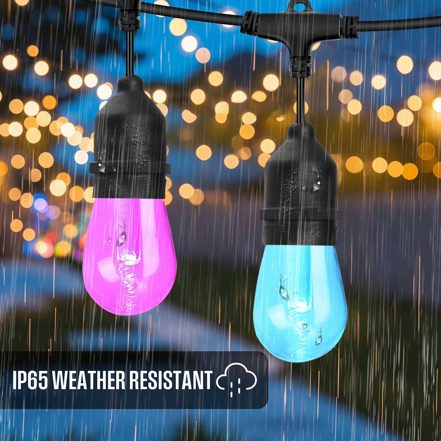 Westinghouse 24 Bulb Color Changing String Light 48 Foot