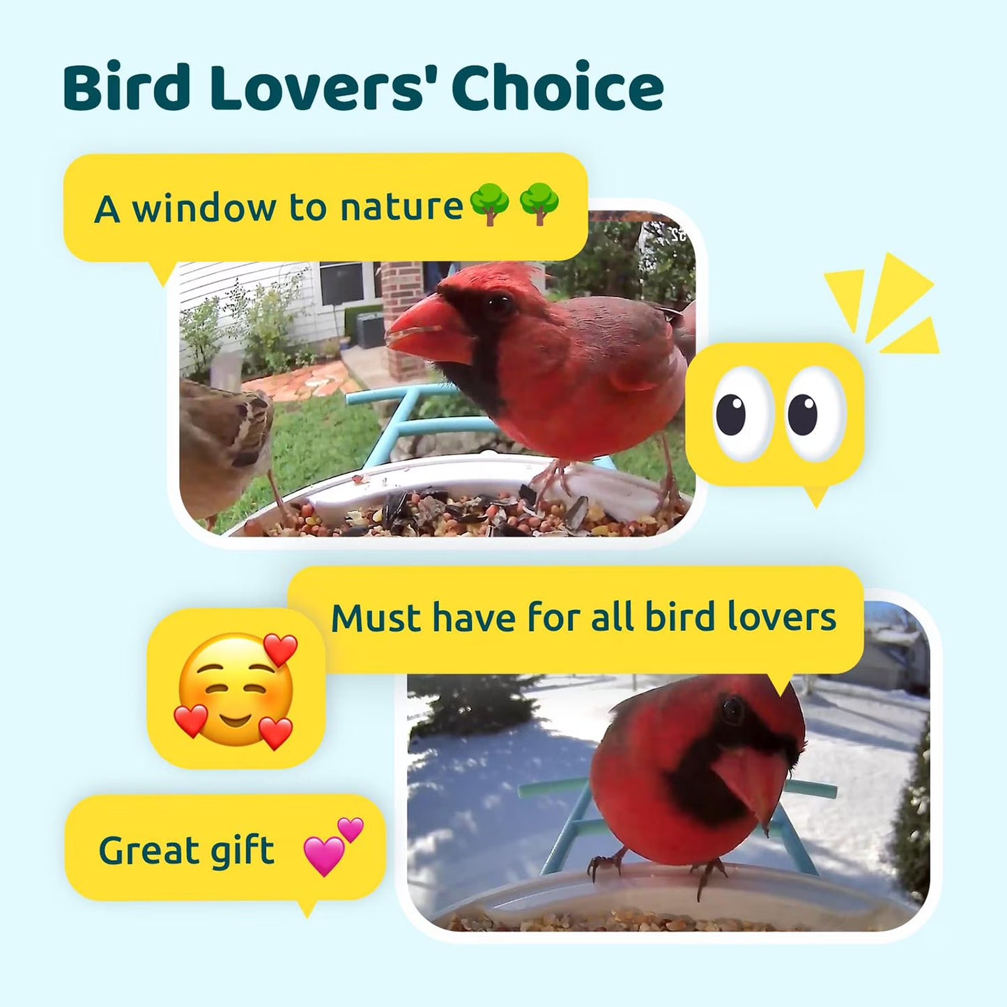 Birdfy Standard Smart Bird Feeder