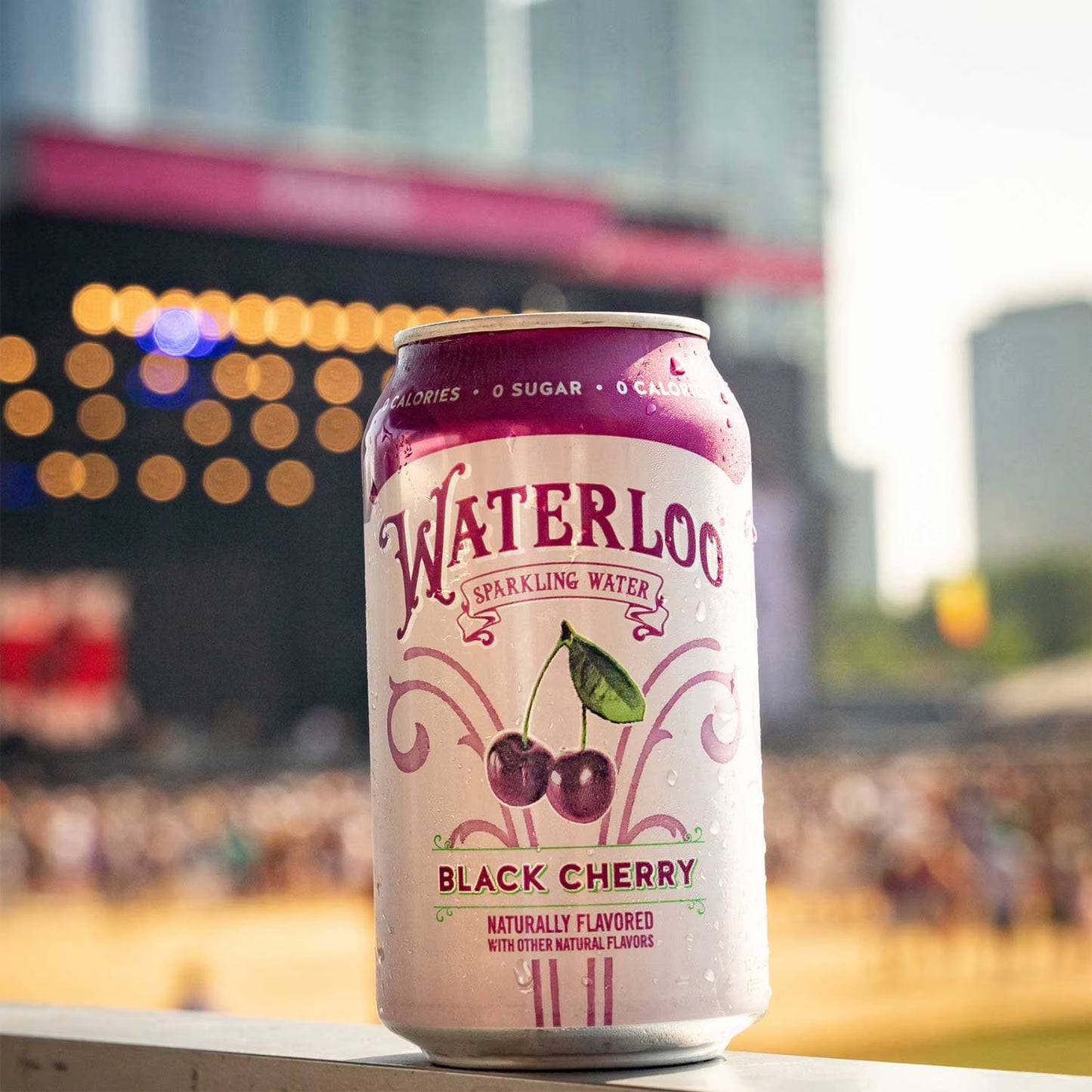 Waterloo Sparkling Water Variety Pack 12 fl. oz., 24 pk.