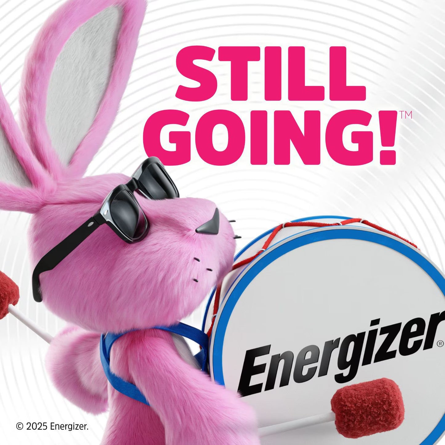 Energizer MAX AAA Alkaline Batteries, 48 pk.