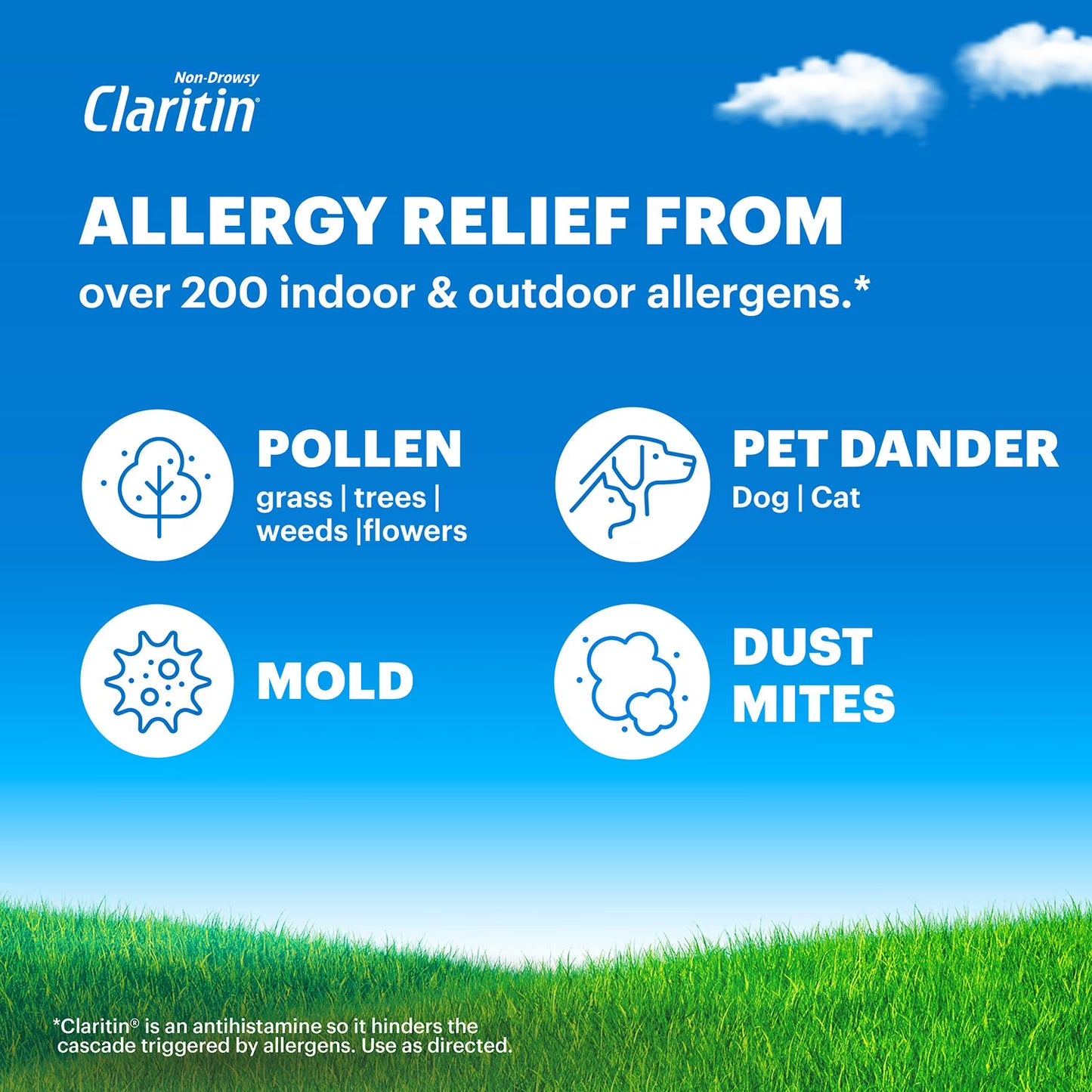 Claritin 24 Hour Non-Drowsy Allergy Medicine Tablets 115 ct.