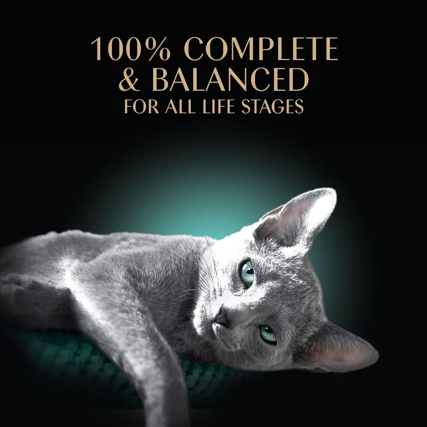 Sheba Perfect Portions Cuts in Gravy Adult Variety Wet Cat Food, Twin-Pack Tray, 1.32 oz., 60 ct., 120 servings