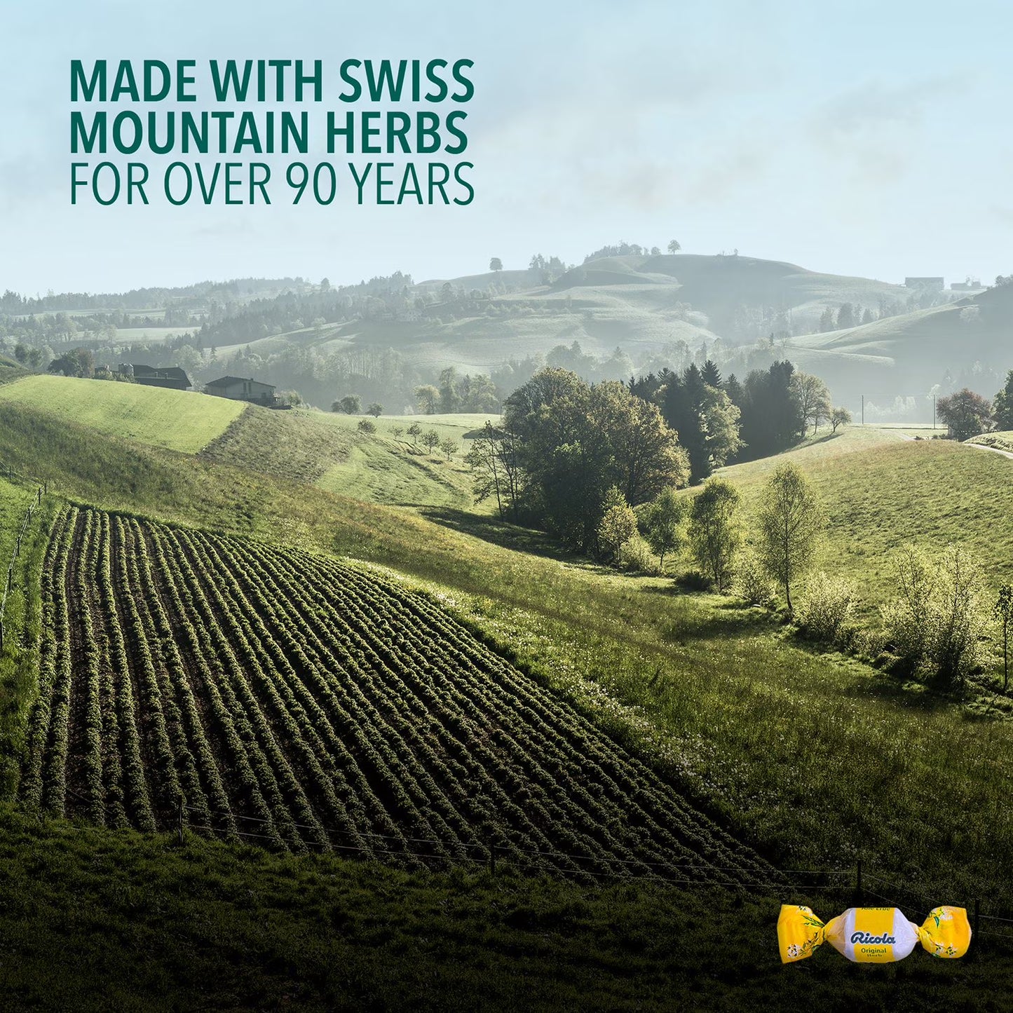 Ricola Original Natural Herb Cough Drops, 210 ct.