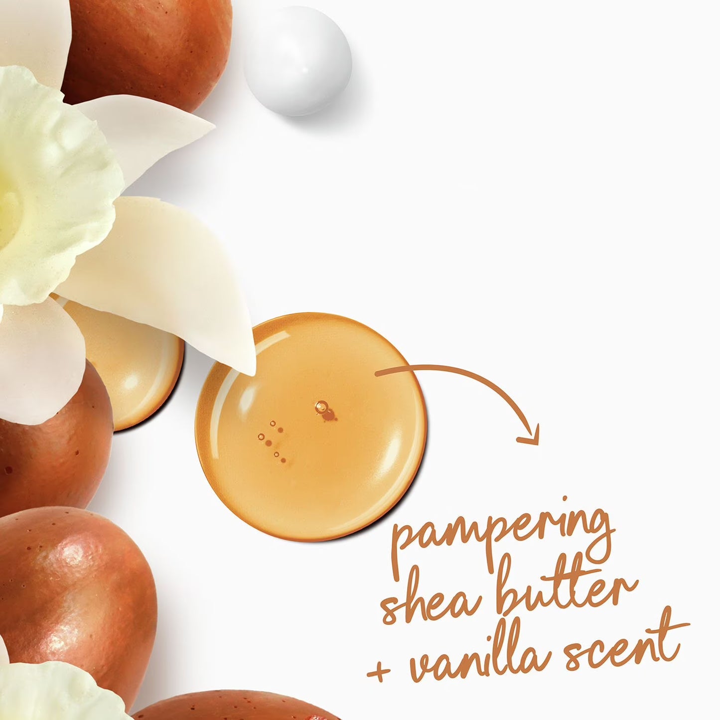 Dove Pamper & Anti-Stress Body Wash, 30.6 fl. oz., 2 pk.