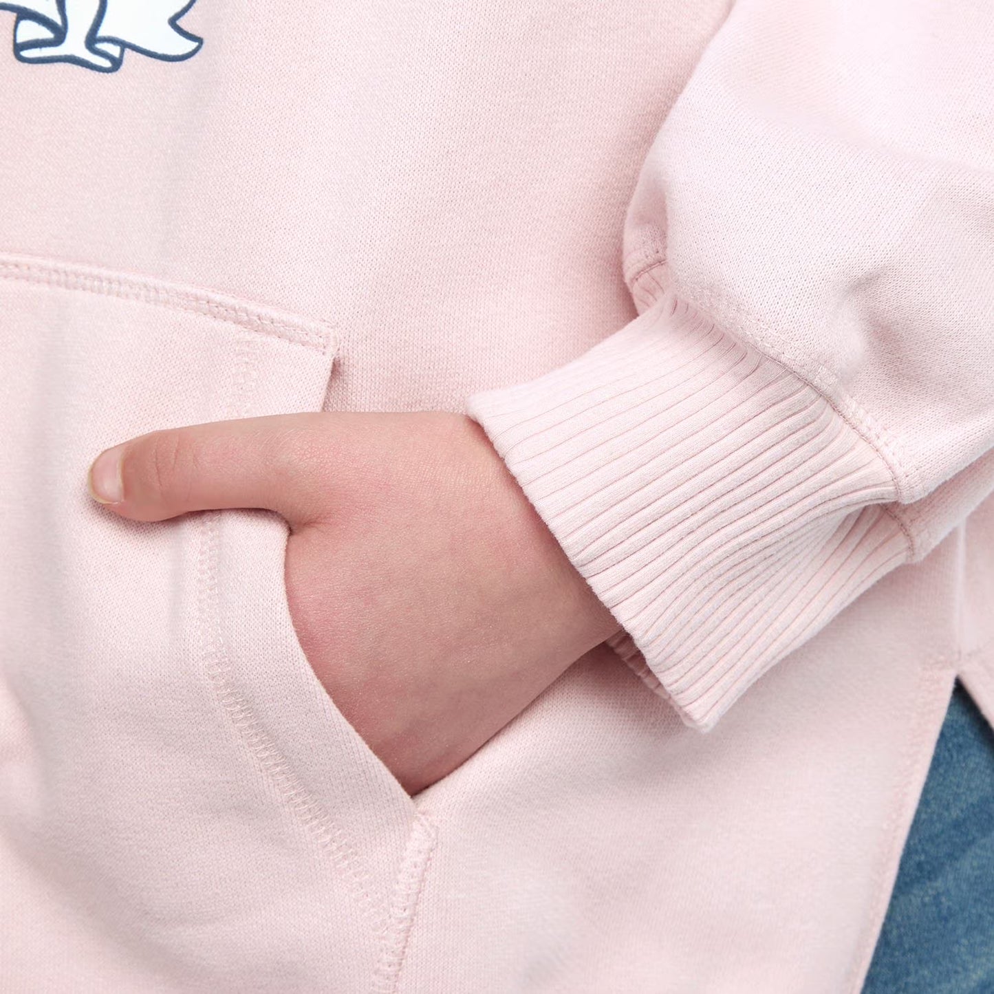 Levi's Kids Collegiate Hoodie