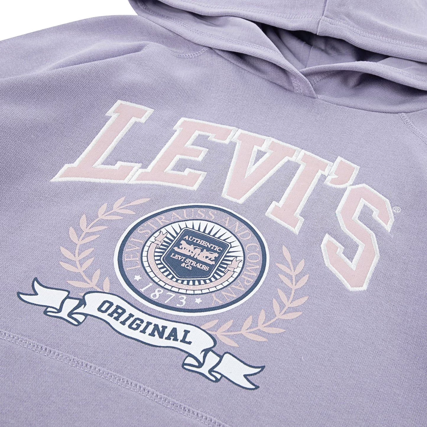 Levi's Kids Collegiate Hoodie
