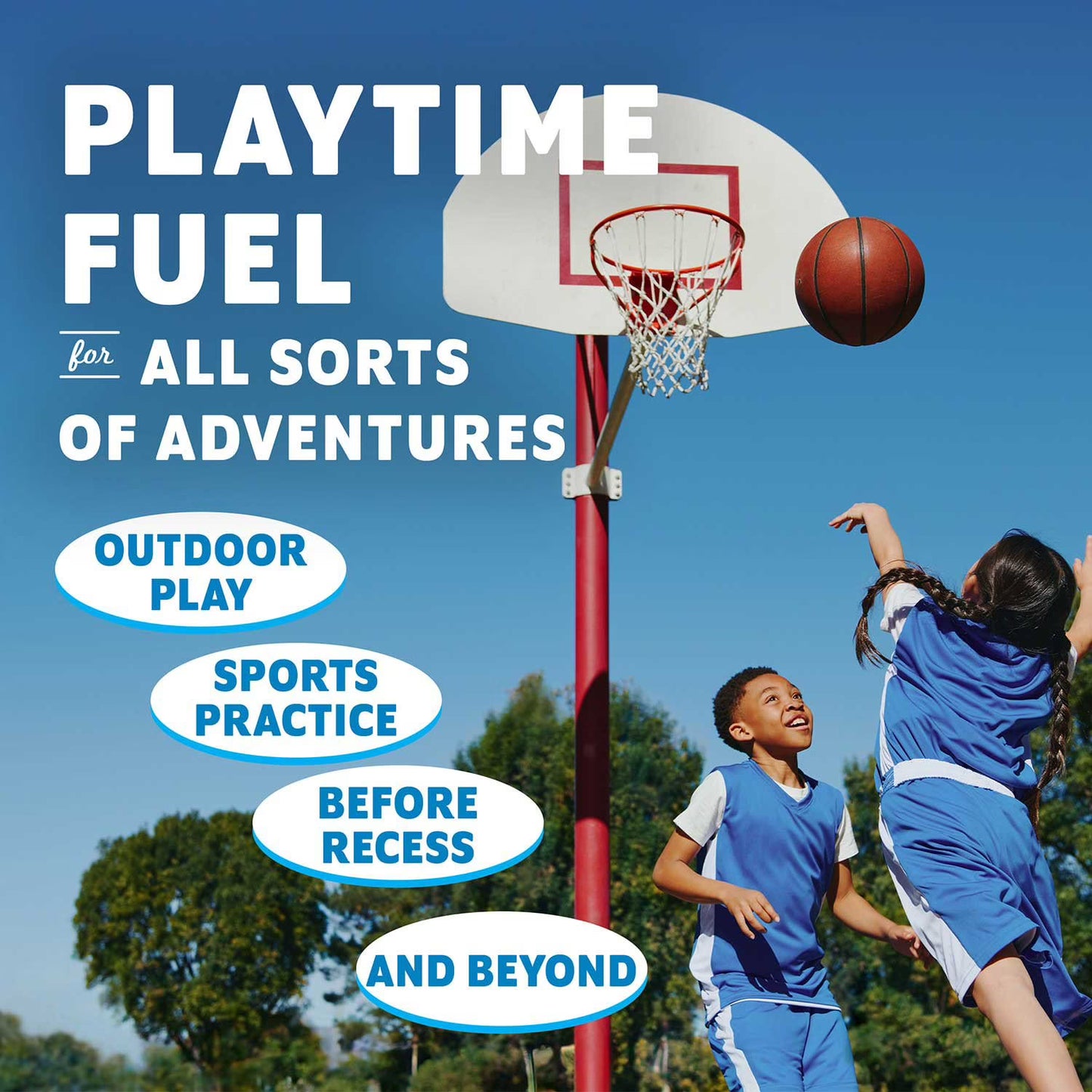 Zbar Soft Baked Organic Granola Snack Bars, Variety Pack, 36 pk.