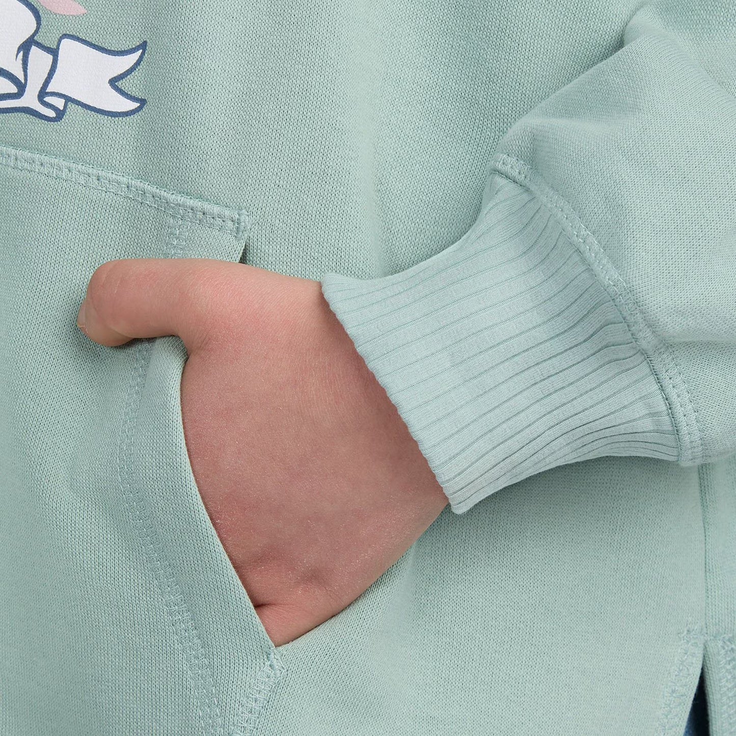 Levi's Kids Collegiate Hoodie