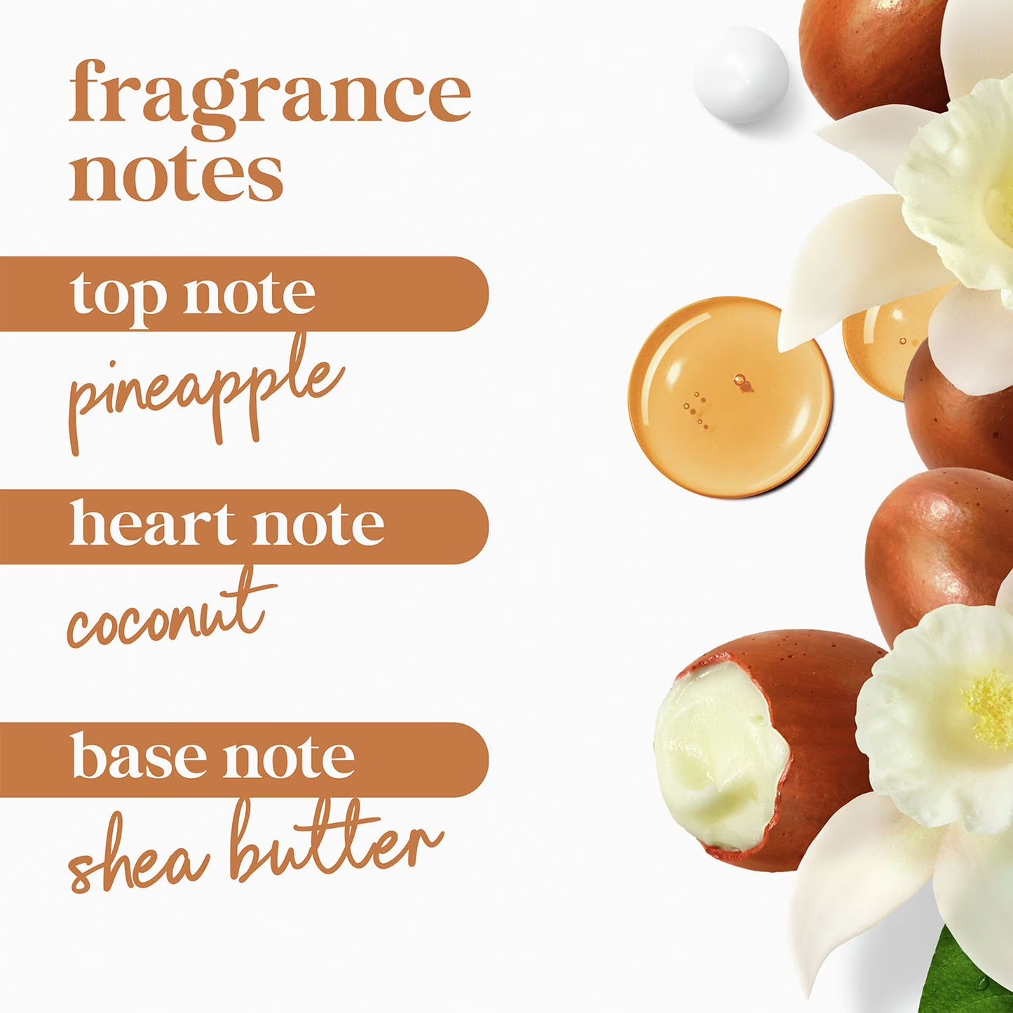 Dove Pamper & Anti-Stress Body Wash, 30.6 fl. oz., 2 pk.