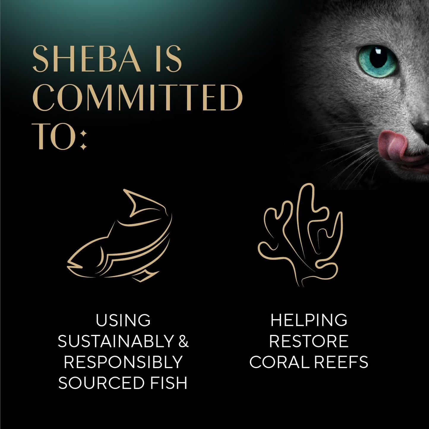 Sheba Perfect Portions Cuts in Gravy Adult Variety Wet Cat Food, Twin-Pack Tray, 1.32 oz., 60 ct., 120 servings