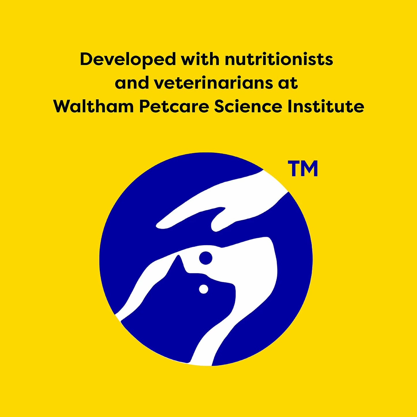 TEMPTATIONS Cat Treats Variety Pack with Tasty Chicken Flavor, Catnip Fever, & Surfers' Delight, 16 oz., 3 tubs