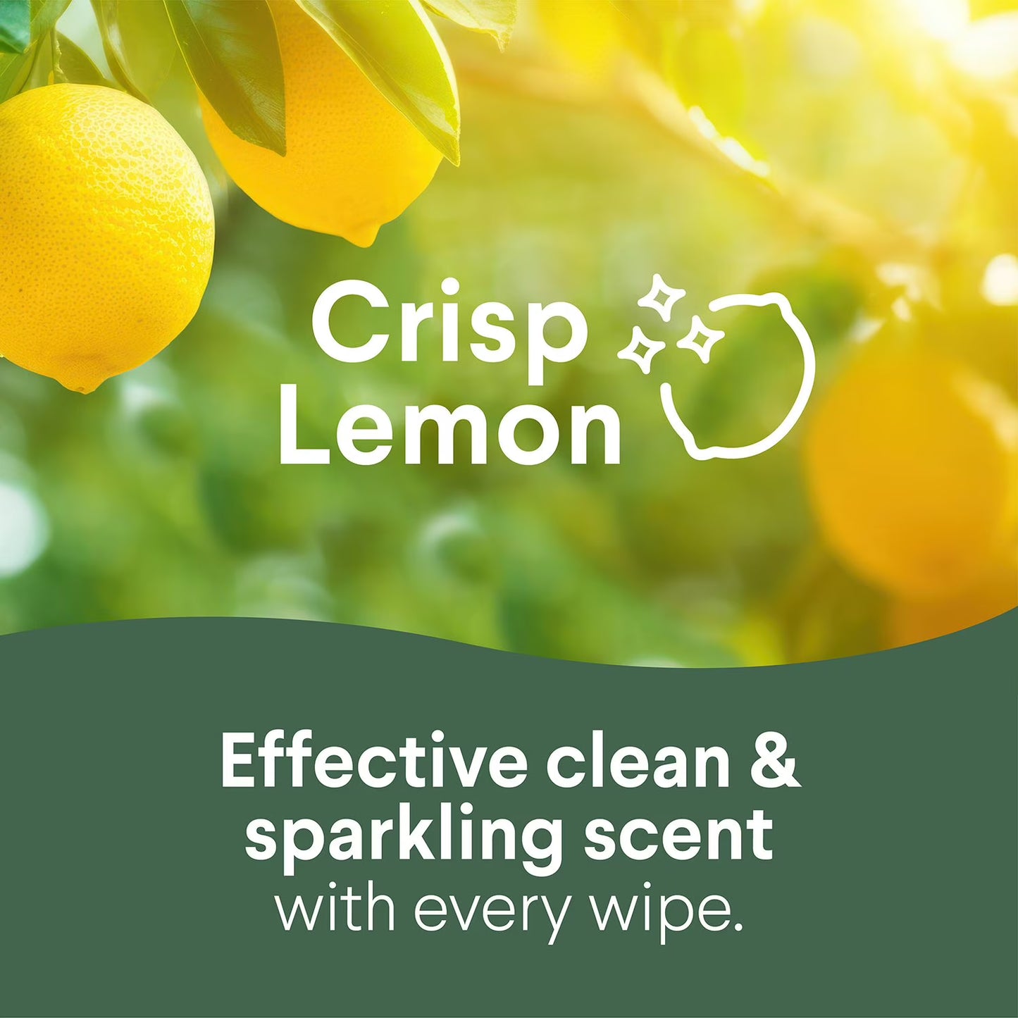 Clorox Disinfecting Wipes, Variety Pack, Fresh Scent and Crisp Lemon, 5 pack ct., 425 wipes total