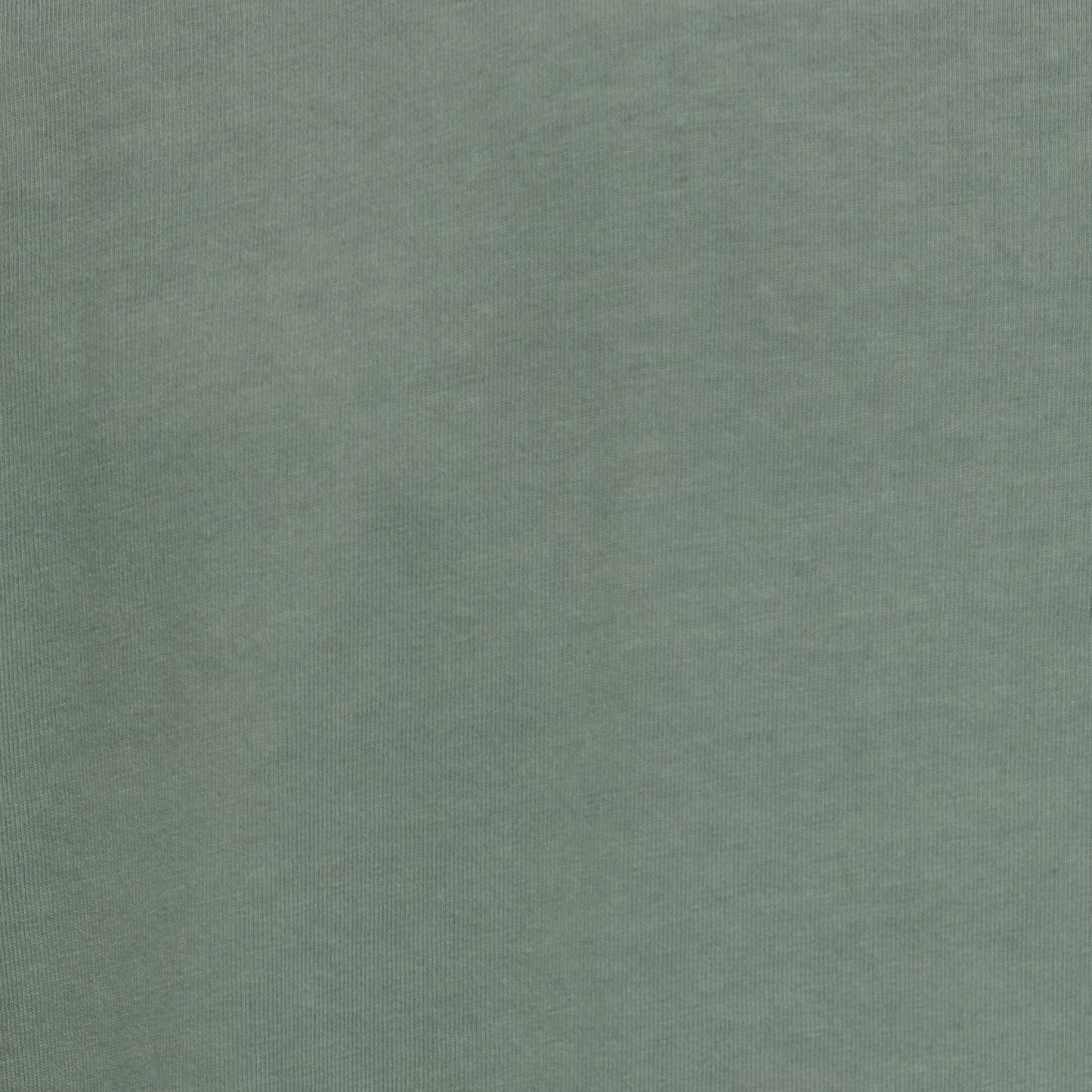 Gap Men's Washed T-Shirt