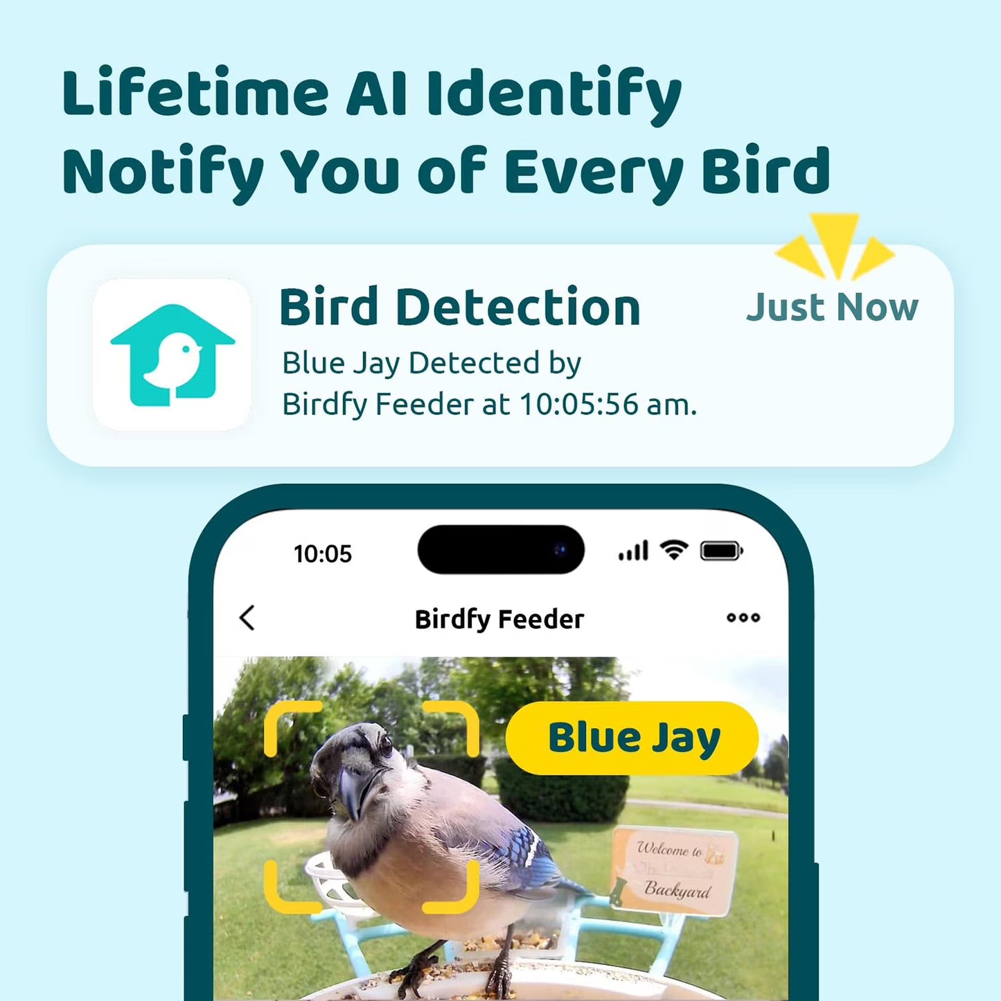 Birdfy Standard Smart Bird Feeder