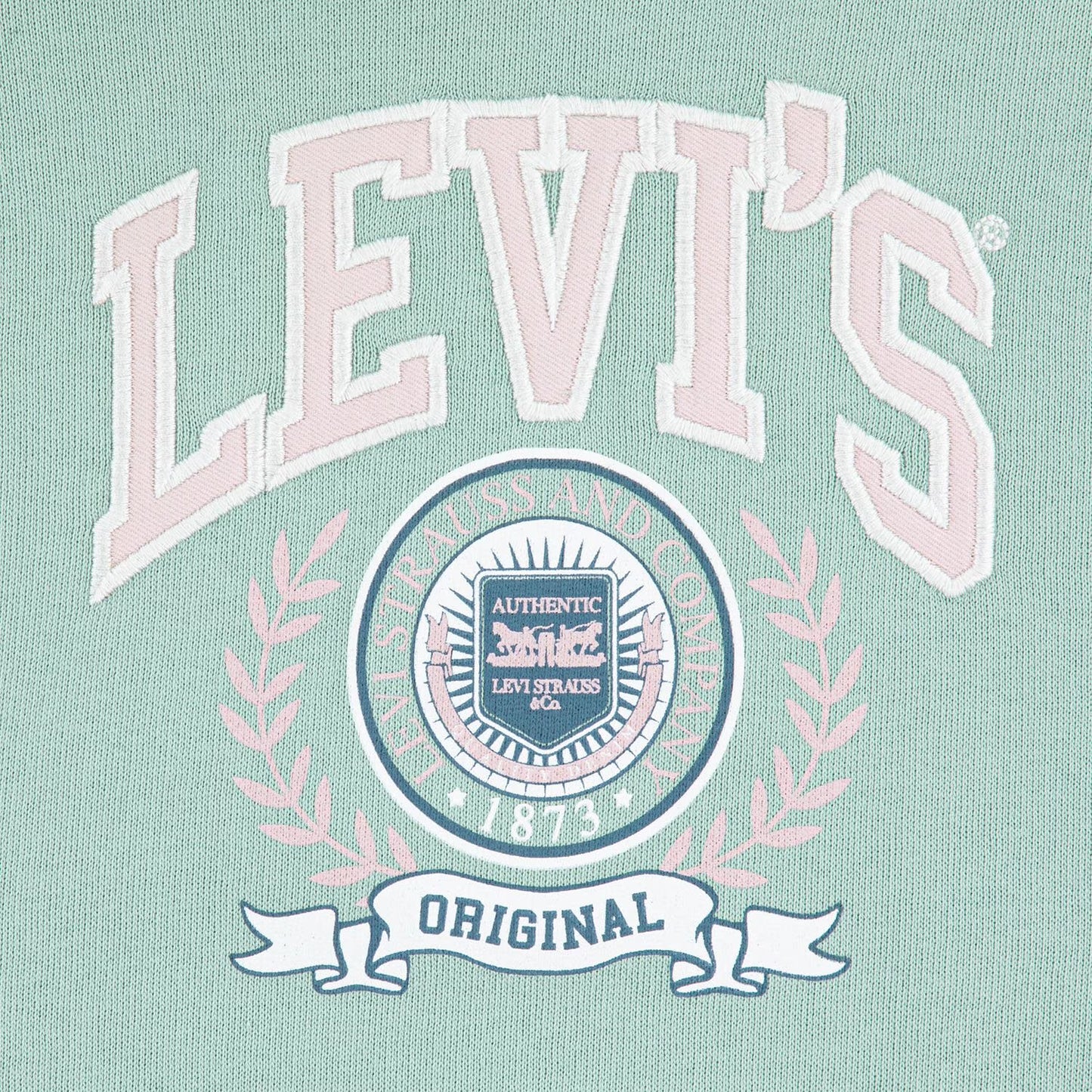 Levi's Kids Collegiate Hoodie