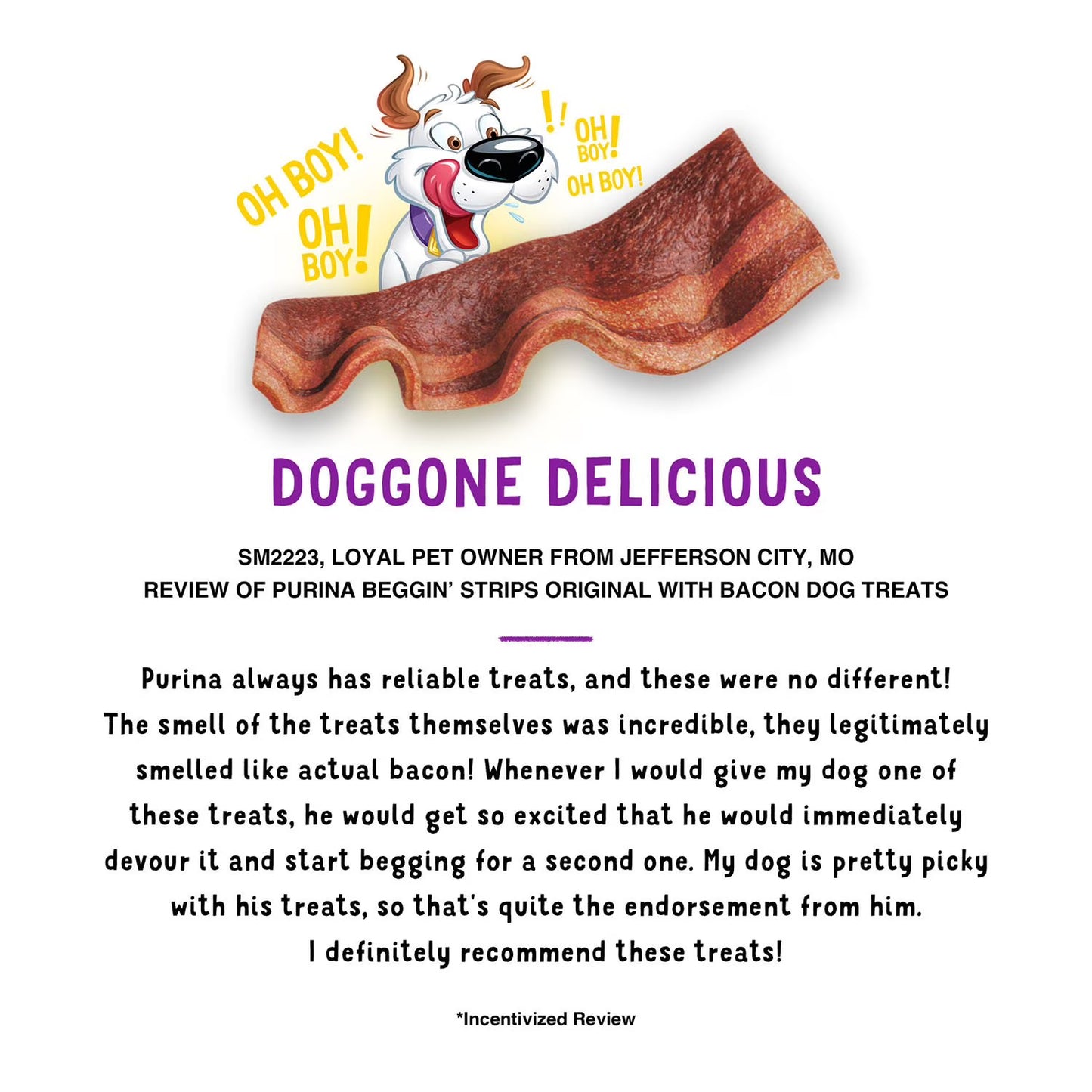 Purina Beggin' Strips Dog Treats, Bacon & Bacon and Cheese Flavors, 32 oz., 2 pk.