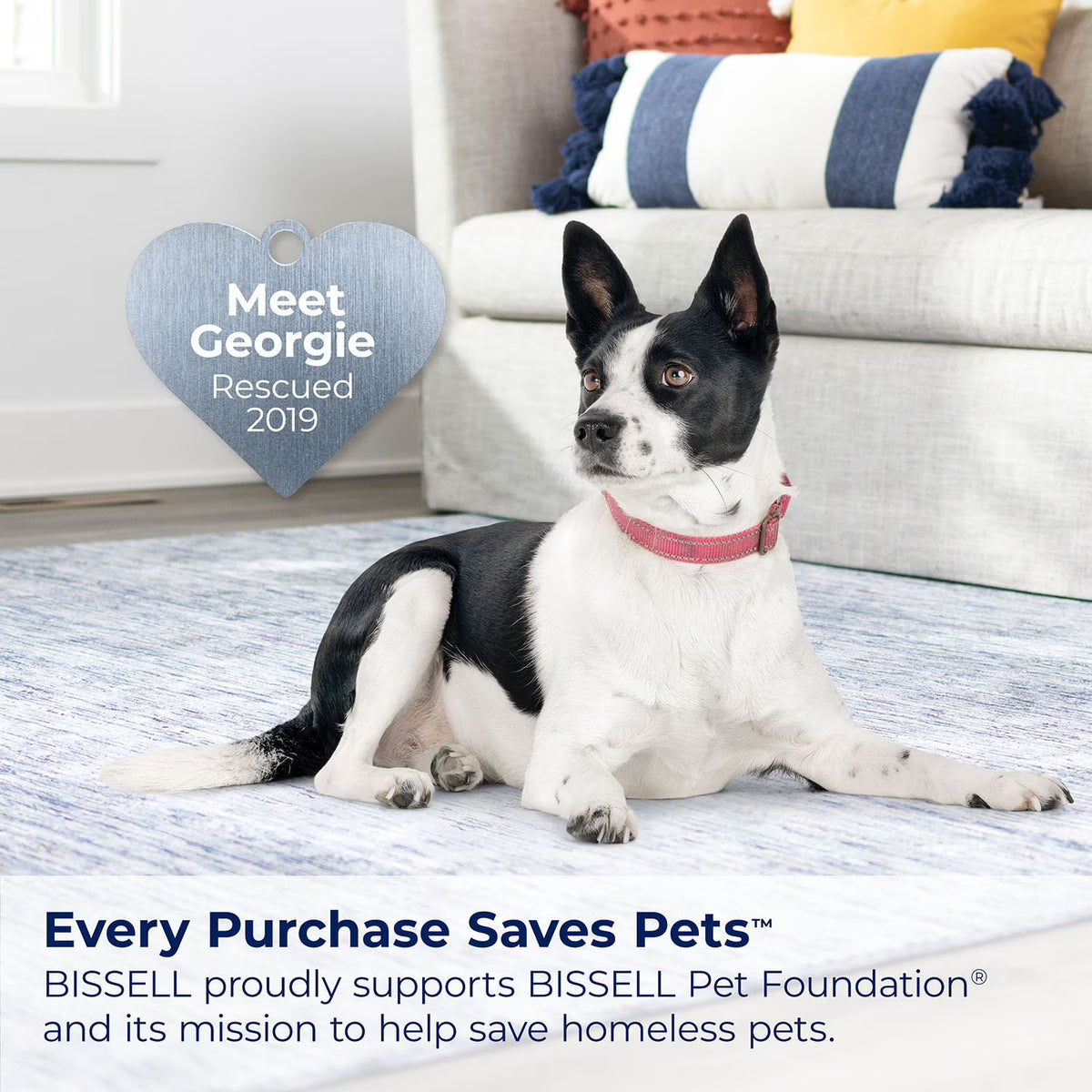 BISSELL Little Green HydroSteam Pet Portable Carpet Cleaner